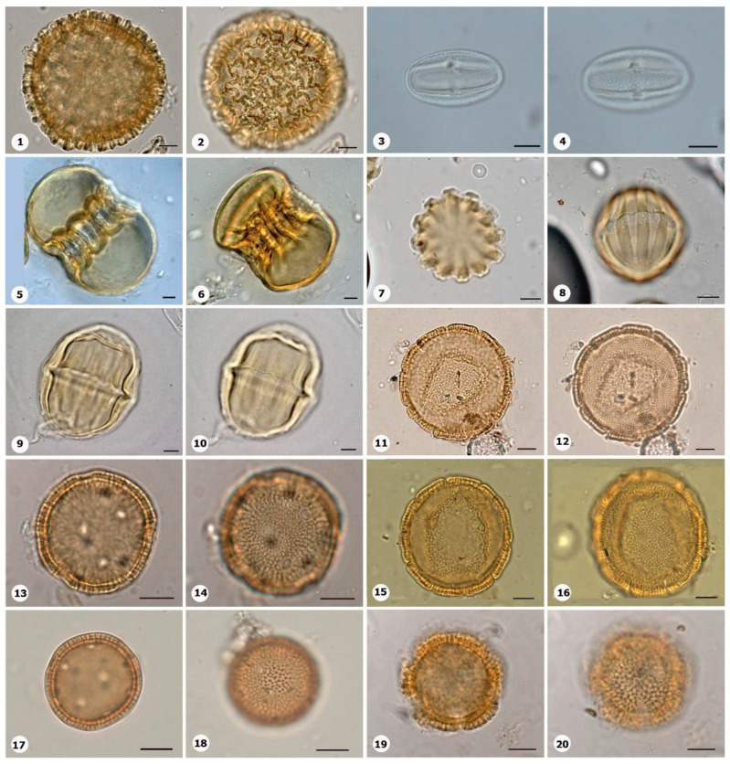 Figure 20