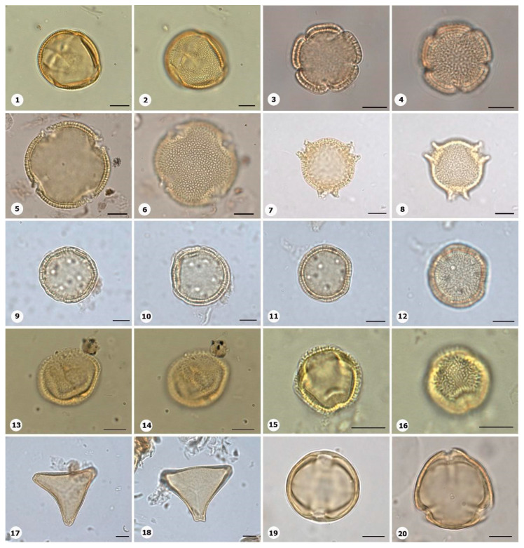 Figure 21