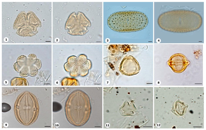 Figure 22