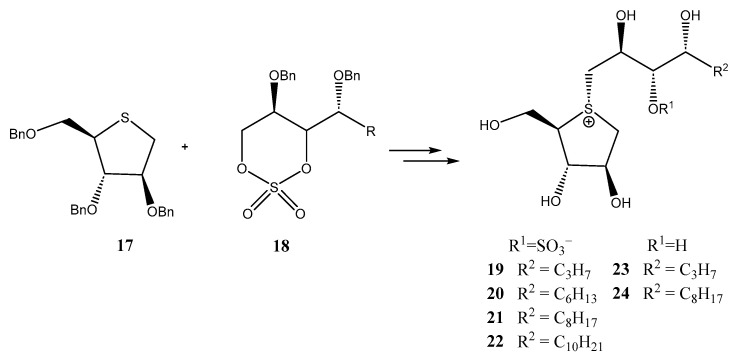 Figure 24