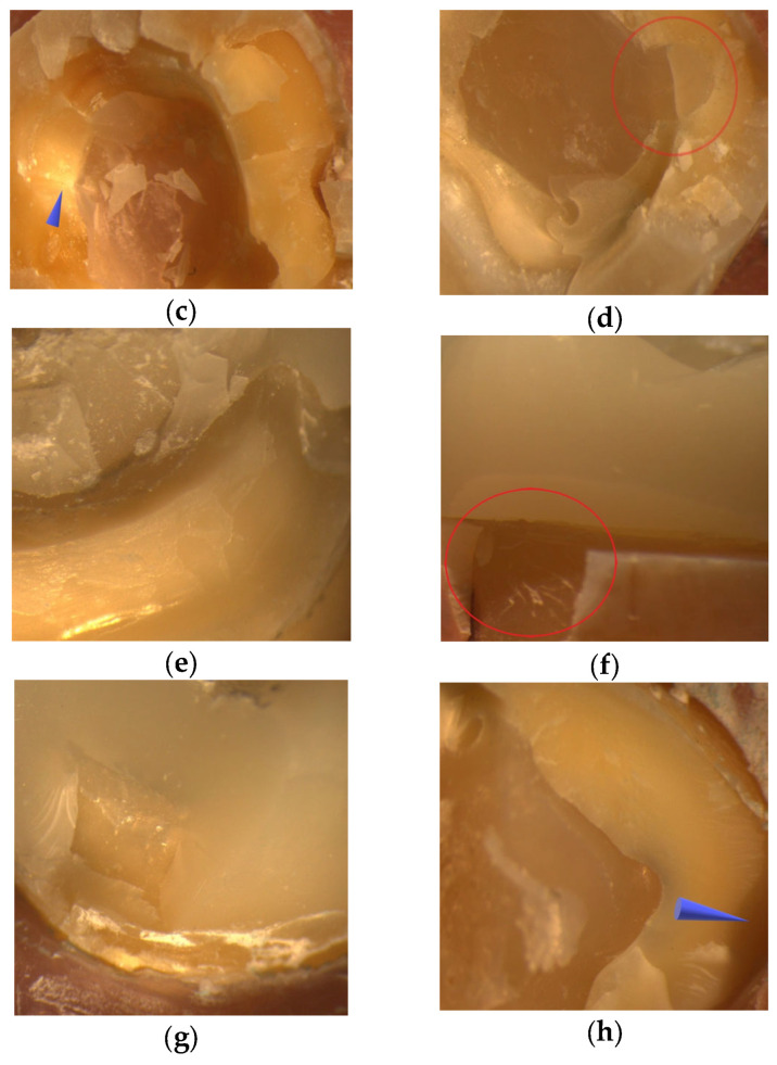 Figure 9