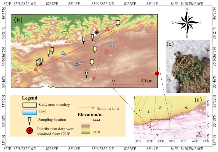 Figure 12