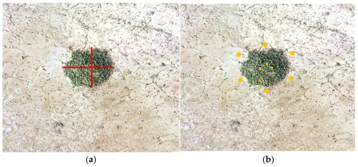 Figure 14