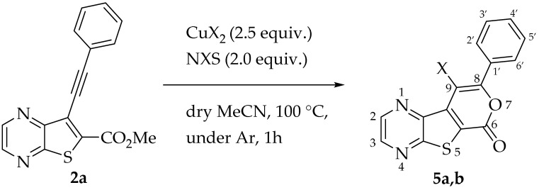 Figure 29
