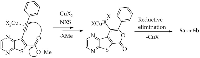 Figure 42