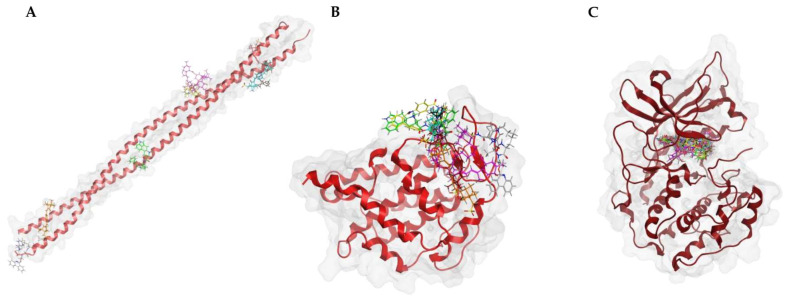 Figure 12