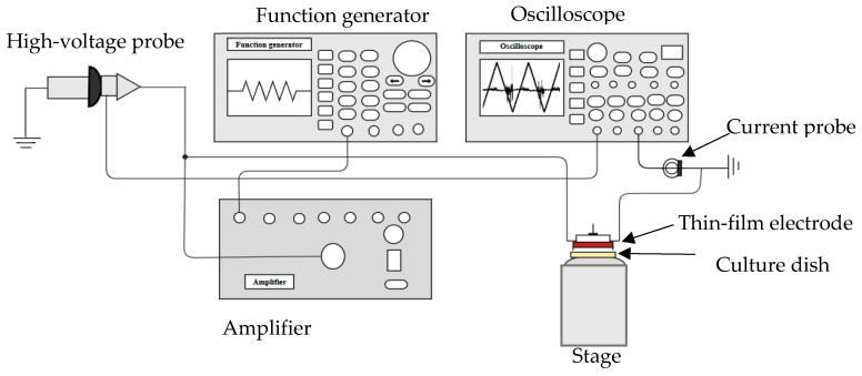 Figure 13