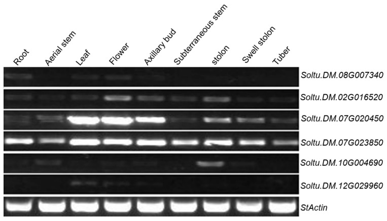 Figure 5