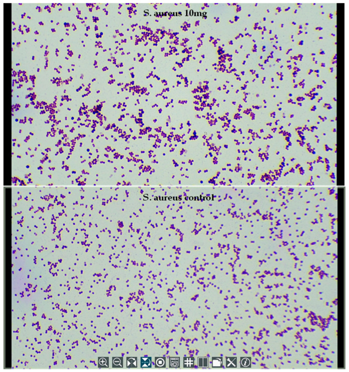 Figure 10