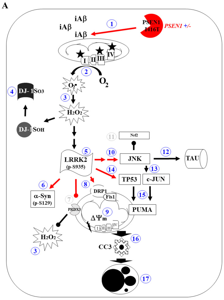 Figure 15