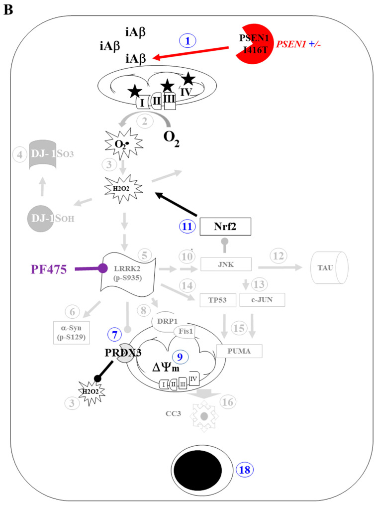 Figure 16