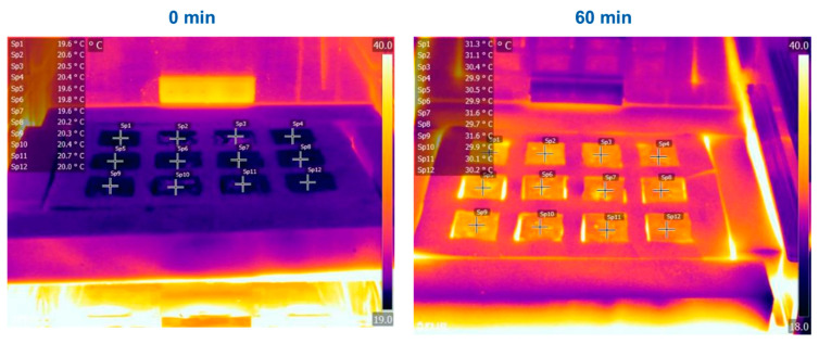 Figure 12