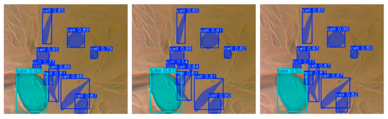 Figure 15