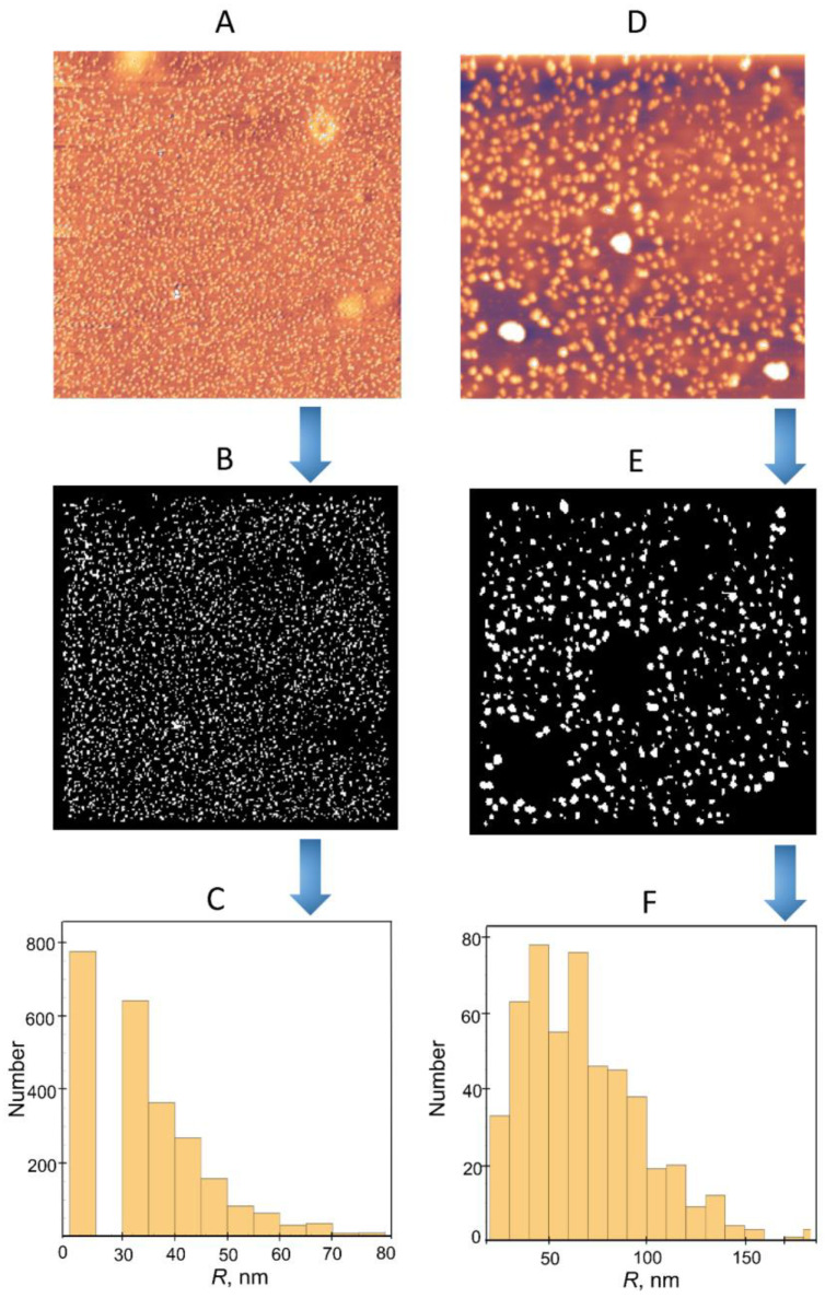Figure 12