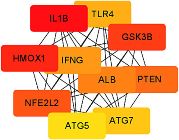 Figure 6