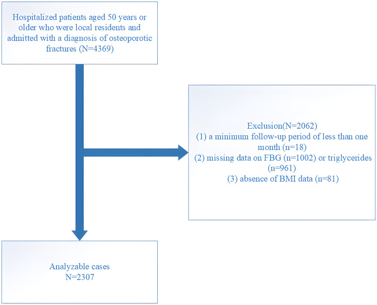 Figure 1