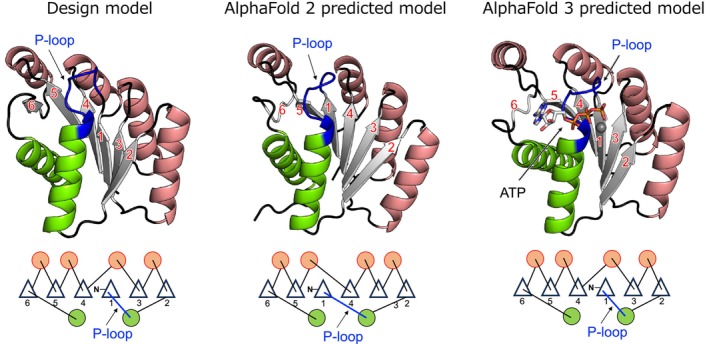 FIGURE 4