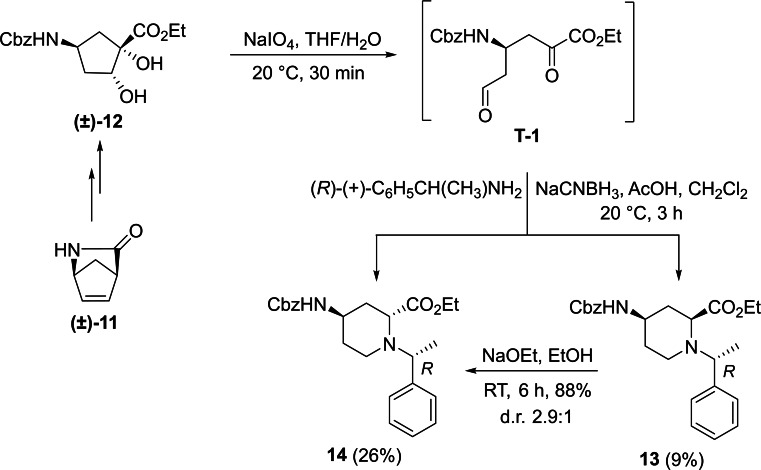 Scheme 3