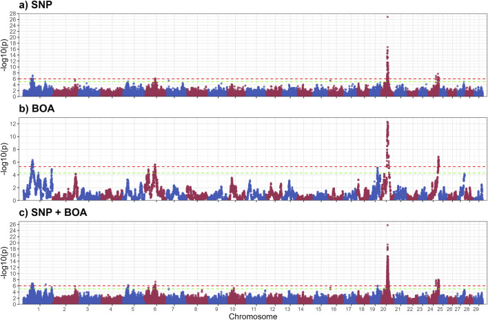 FIGURE 1