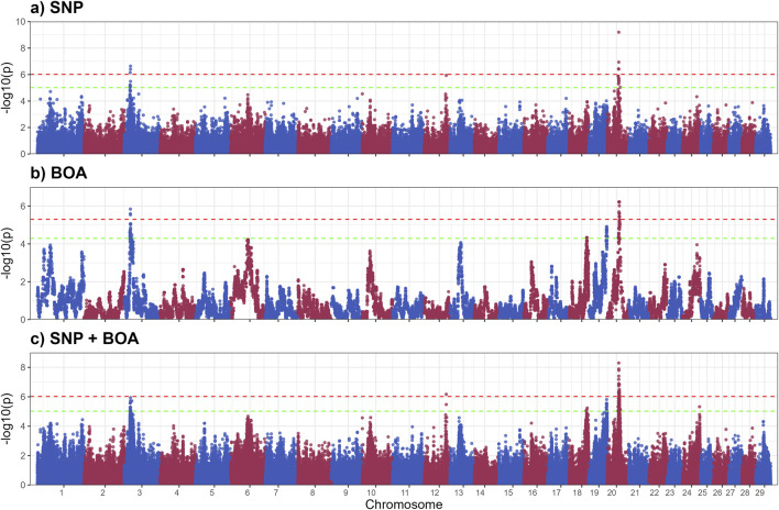 FIGURE 2