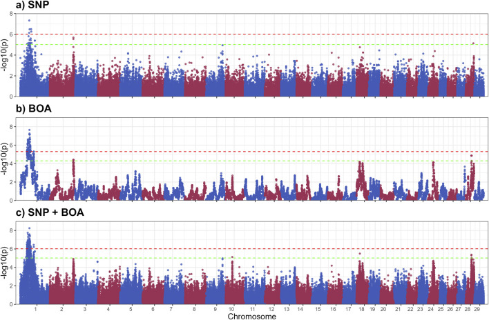 FIGURE 4