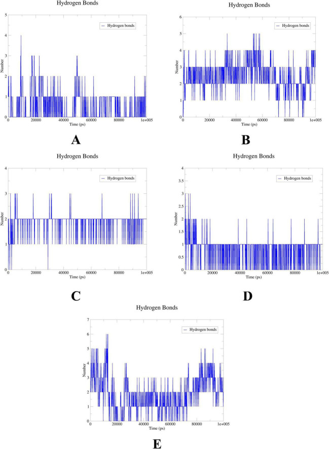 FIGURE 11