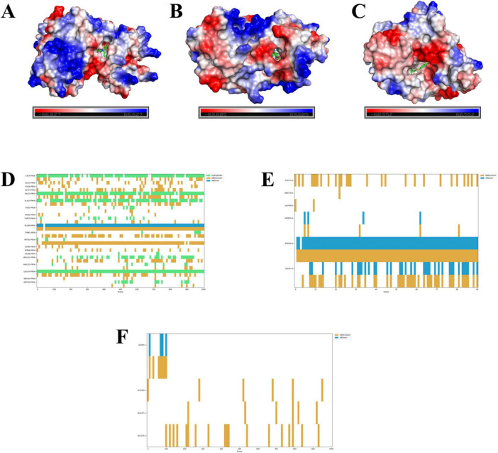 FIGURE 12