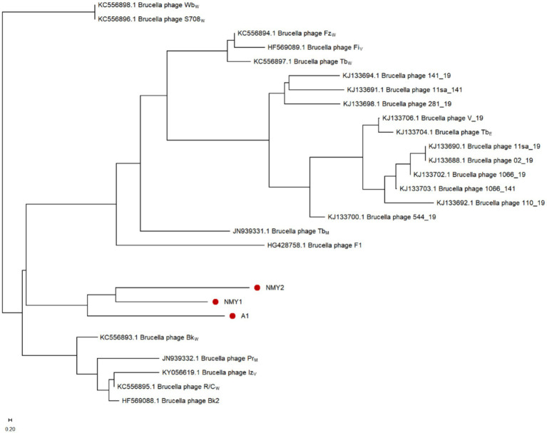Figure 7