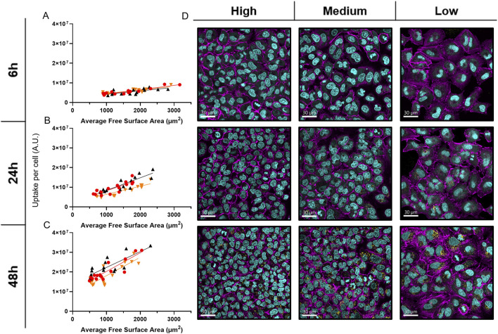 FIGURE 4
