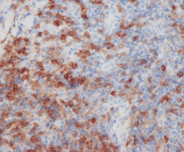 Figure 10