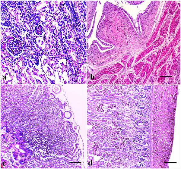 FIGURE 11