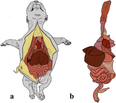 FIGURE 3