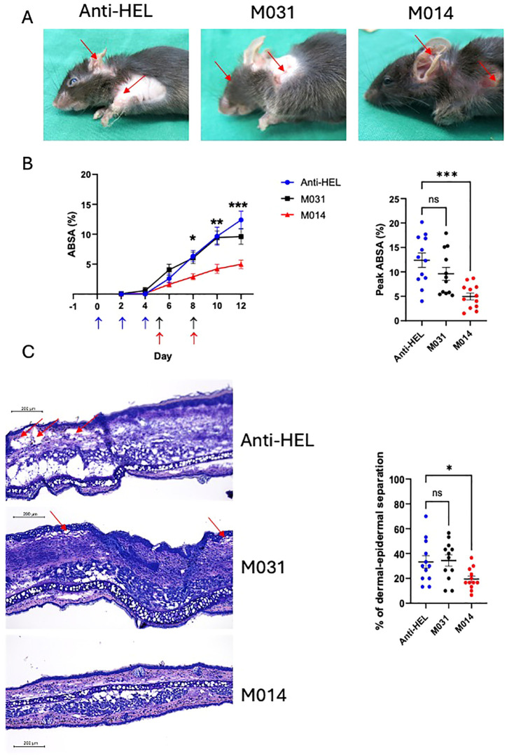Figure 3