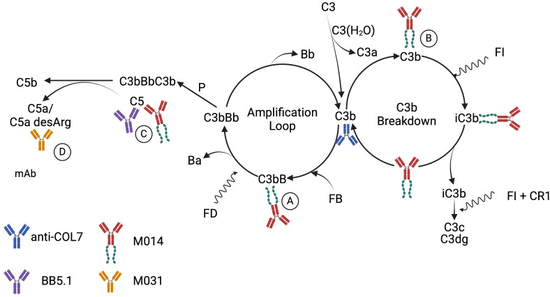 Figure 6