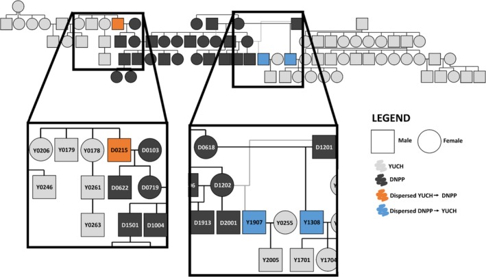 FIGURE 5