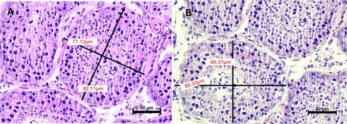 FIGURE 2