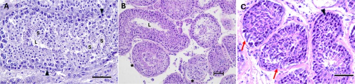 FIGURE 3