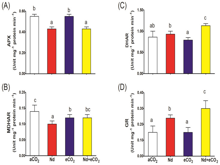 Figure 5