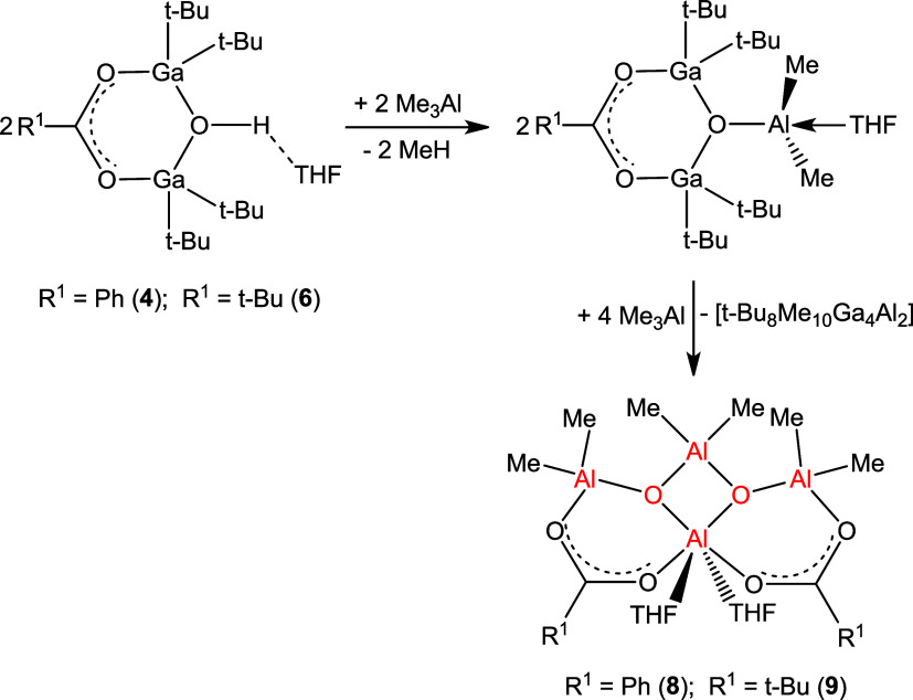 Scheme 6