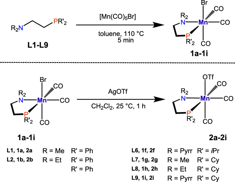 Scheme 2