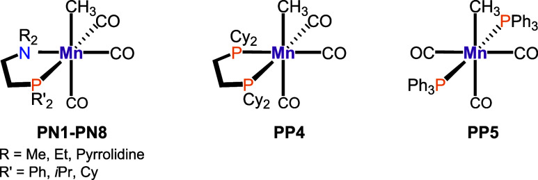 Scheme 4