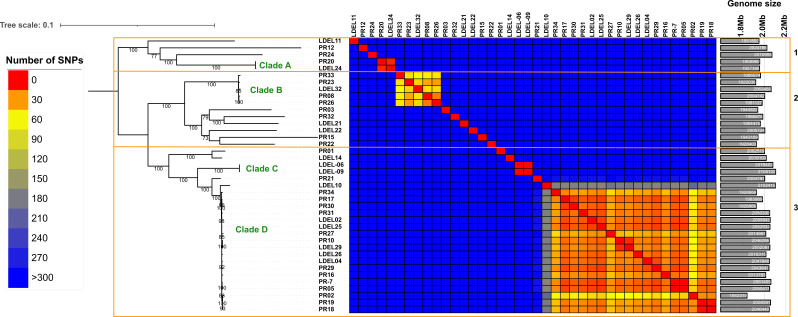 Fig 4