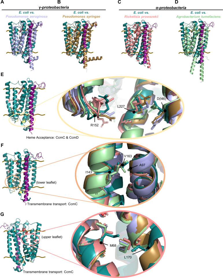 Fig 8