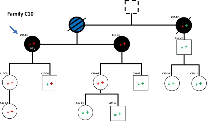 Fig. 2