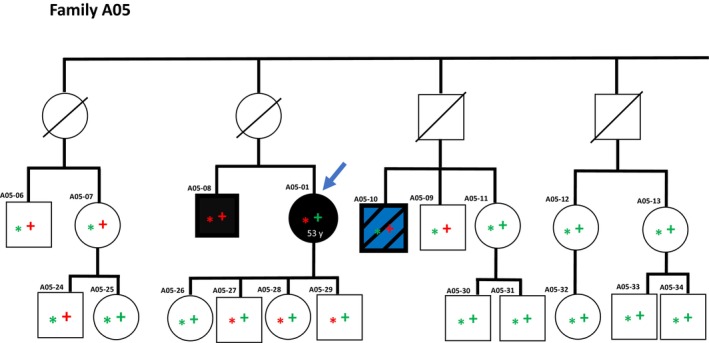 Fig. 3