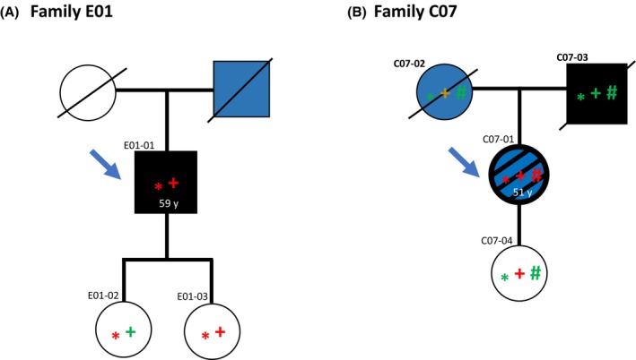 Fig. 4