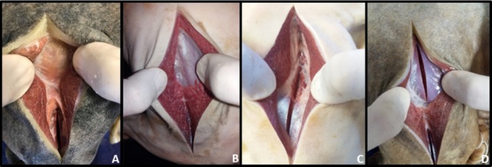 FIGURE 3