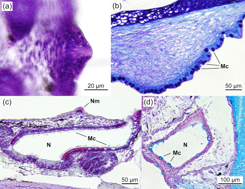 Fig 4