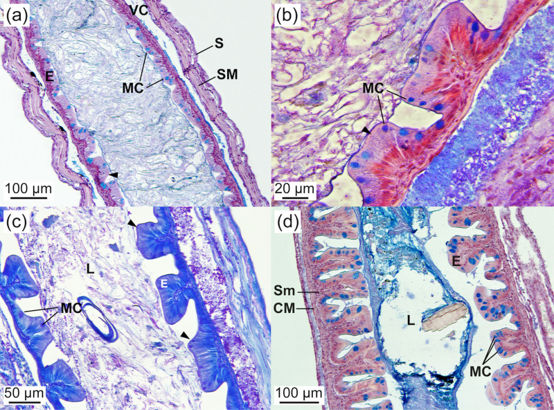 Fig 8