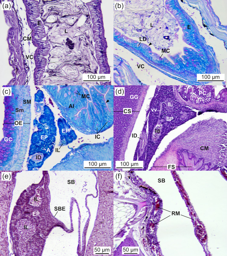 Fig 9